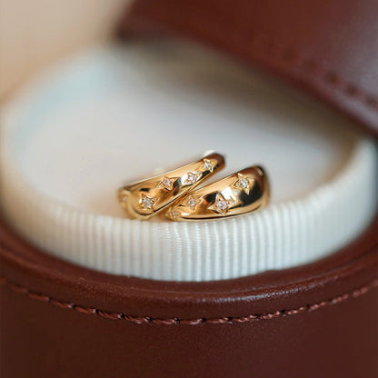 Orecchini di lusso in oro e argento